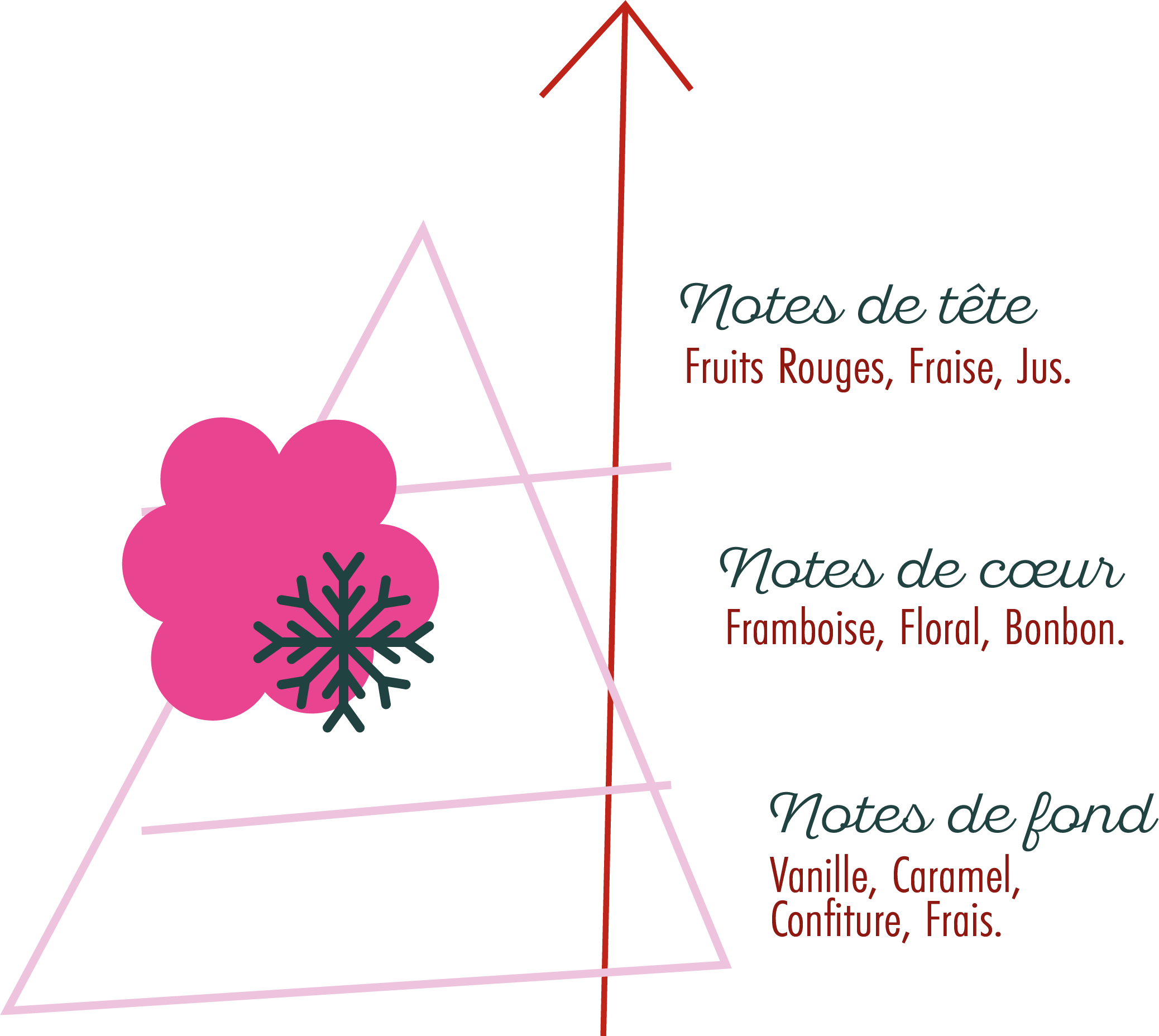 Pyramide Olfactive Souffle Frais.png