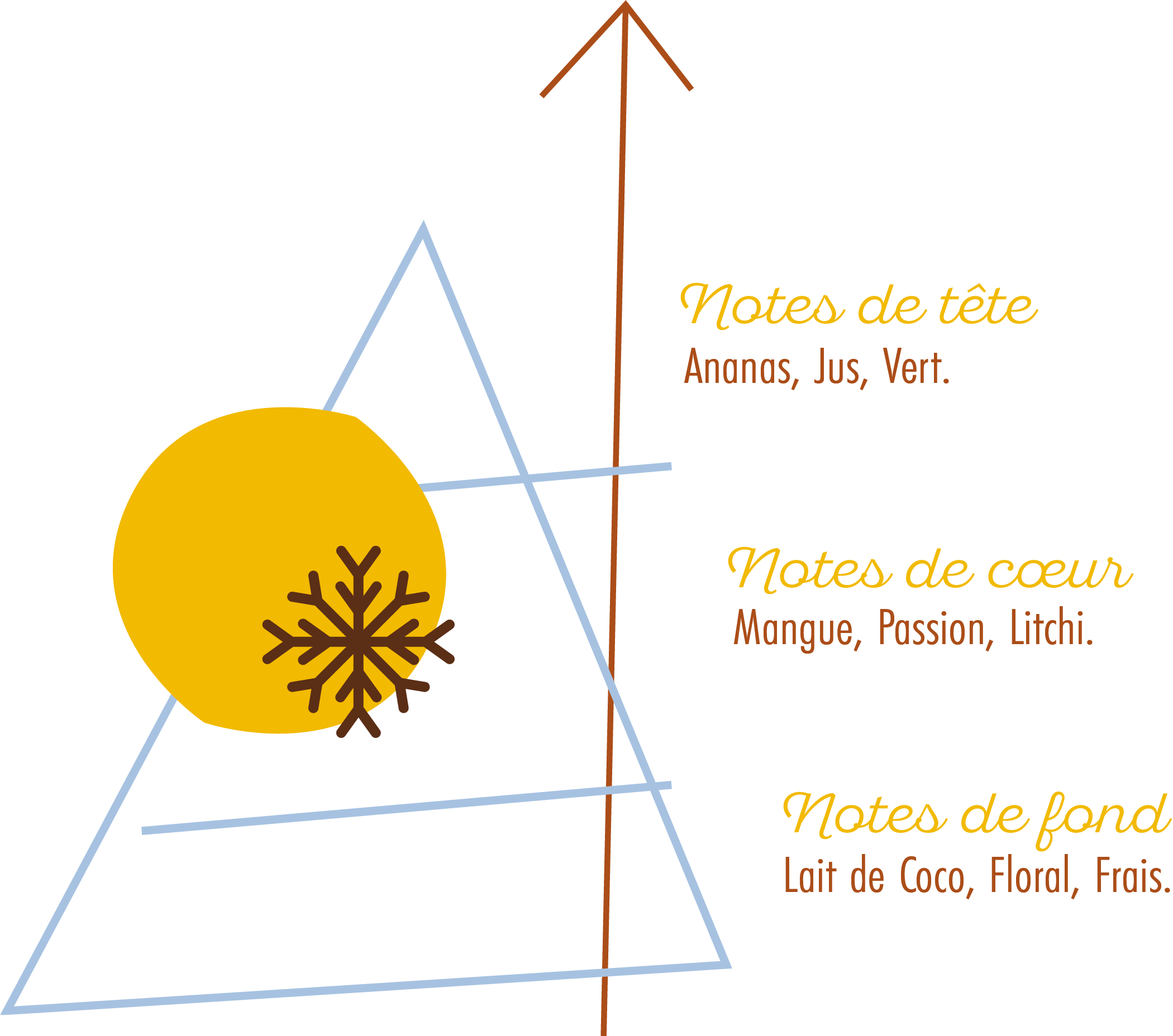 Pyramide Olfactive Souffle Frais.png