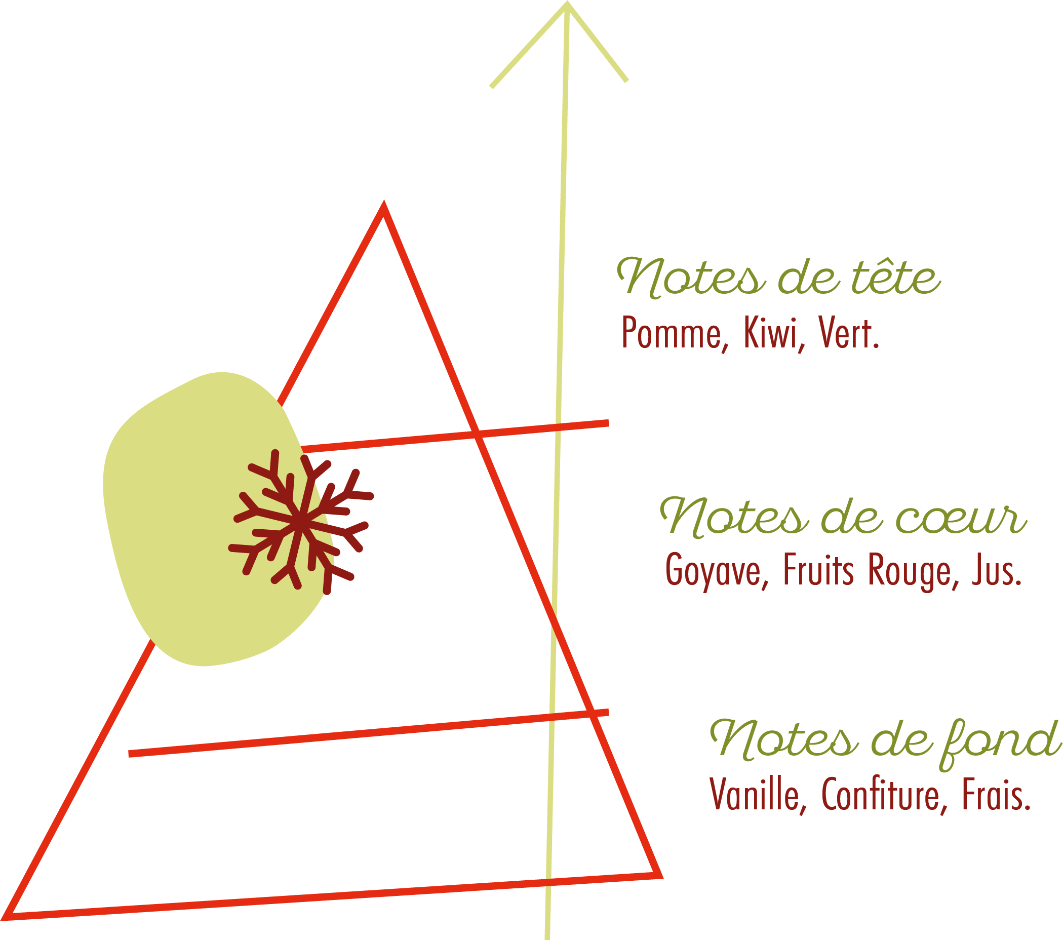 Pyramide Olfactive Souffle Frais.png