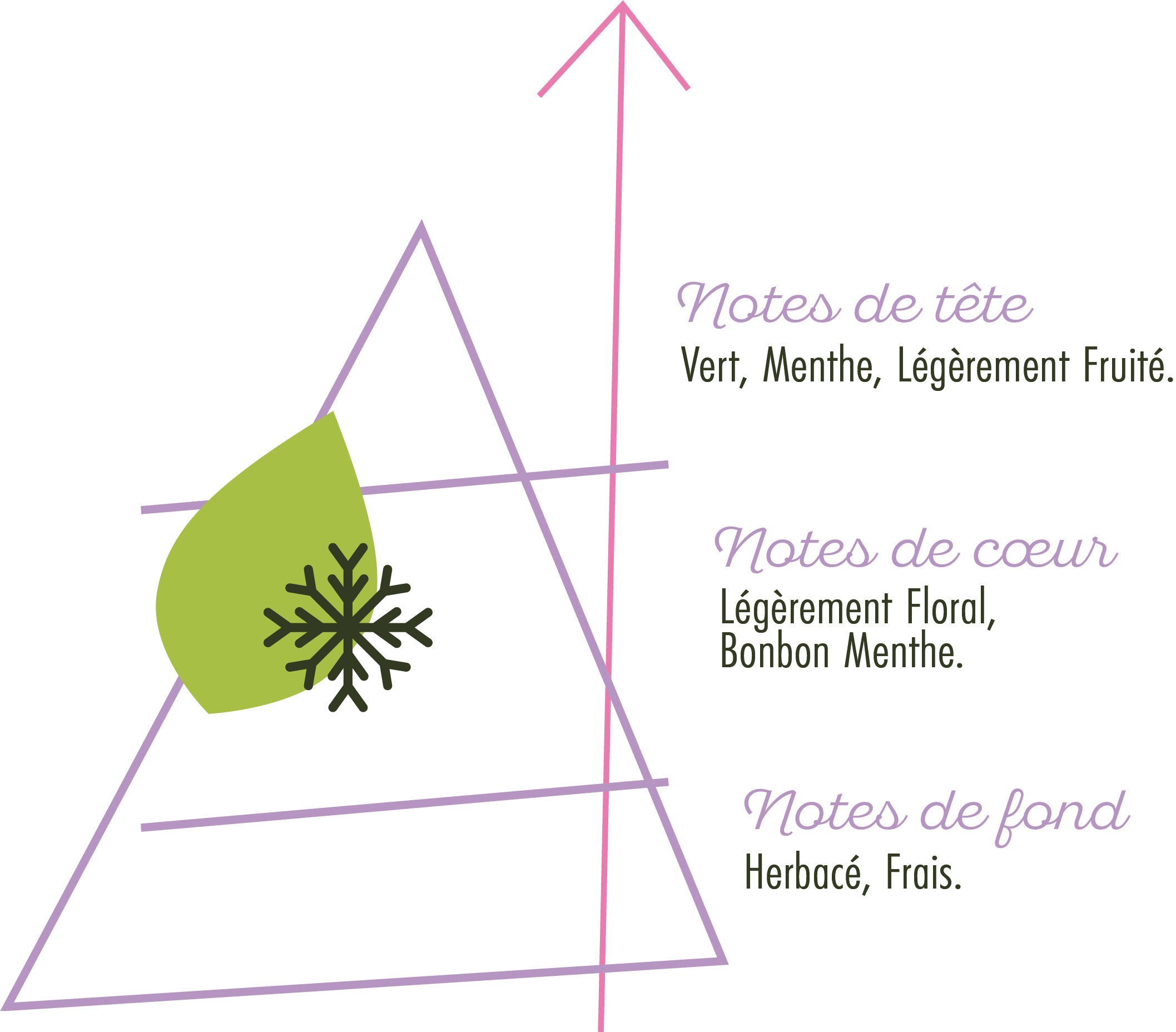 Pyramide Olfactive Souffle Frais.png